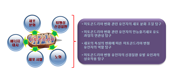 줄기세포발생학