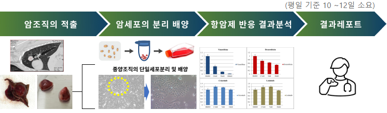 항암제 반응성 예측검사 과정