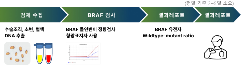 BRAF 돌연변이 hotspot 검사(재진)